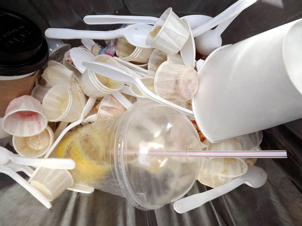 The Importance of Recycling in the Fight Against Global Warming